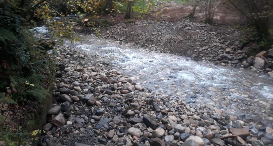 Imagen Después de la retirada del azud de la piscifactoría de Sevares en el río Color