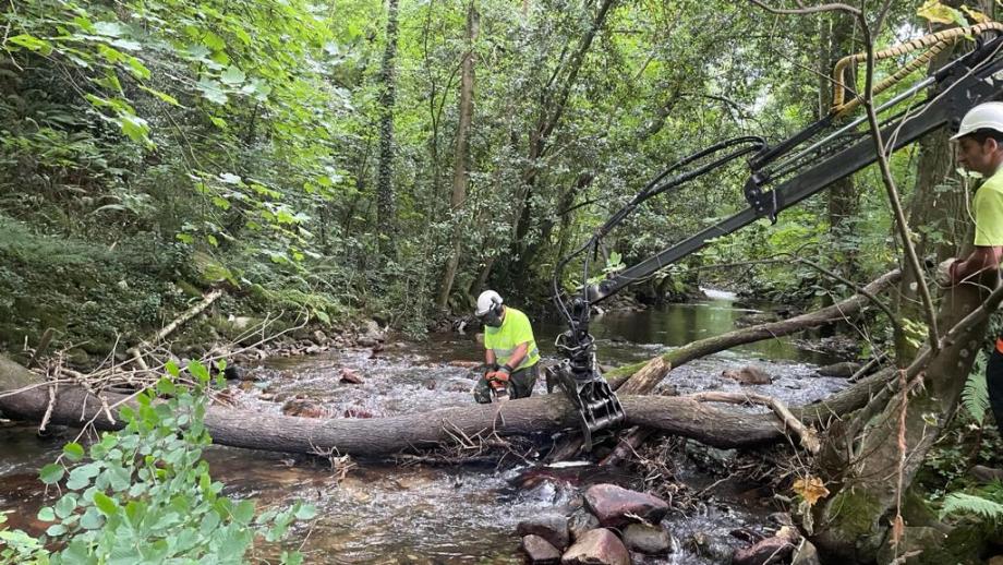Imagen Operario cortando árbol caído para sacarlo del río