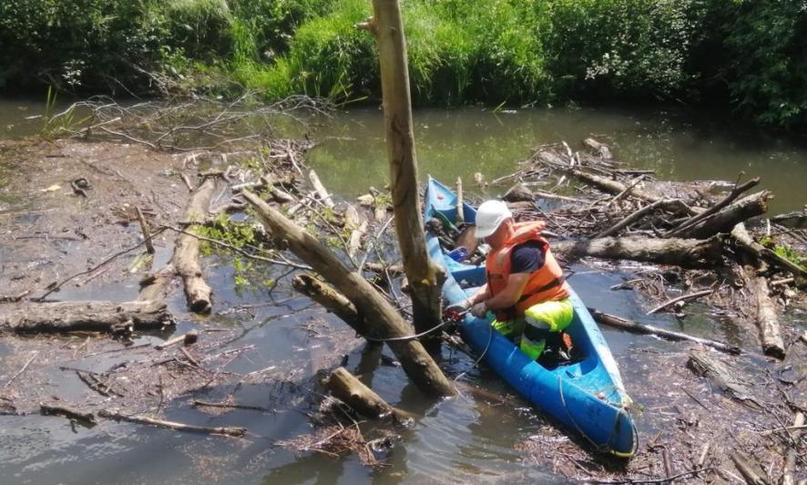 Imagen Operario retirando restos vegetales desde canoa
