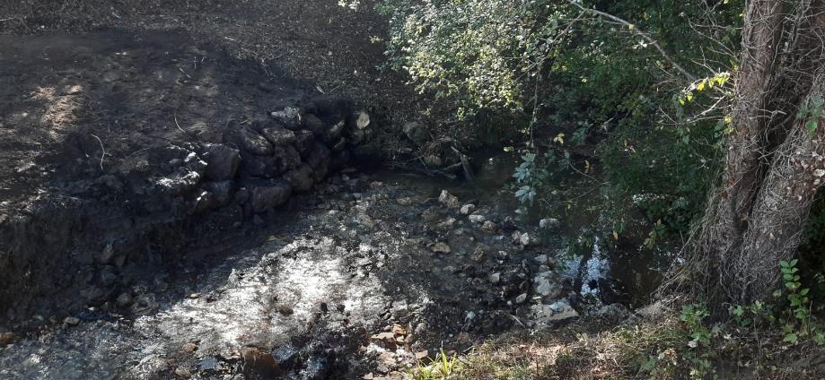 Imagen Después de la retirada del azud en río Miravete en Quintanal