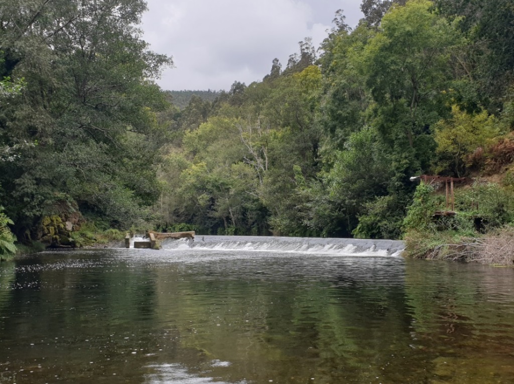 Azud de una antigua piscifactoría en el río Eo, en San Tirso de  Abres (antes de la actuación)