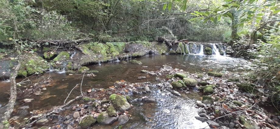 Imagen Antes de la retirada del azud en río Coro en Rebaste