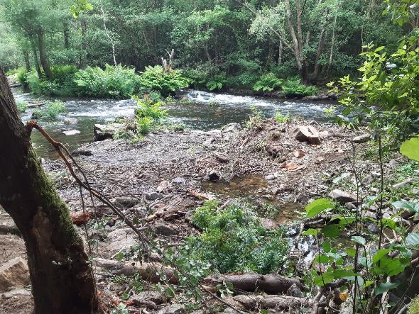 Imagen Después de la retirada de restos vegetales en río Eo en Salmenán
