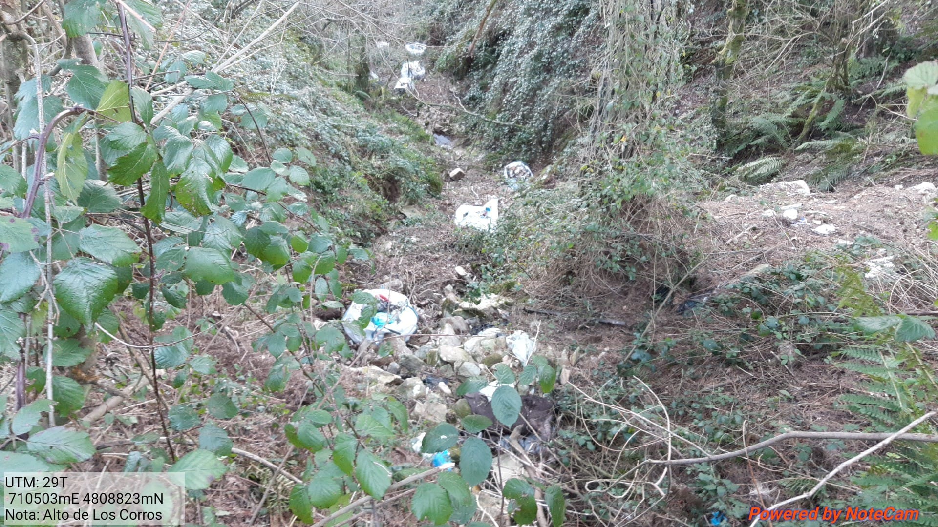 Imagen Antes de la actuación en el arroyo de Castro en Los Corros