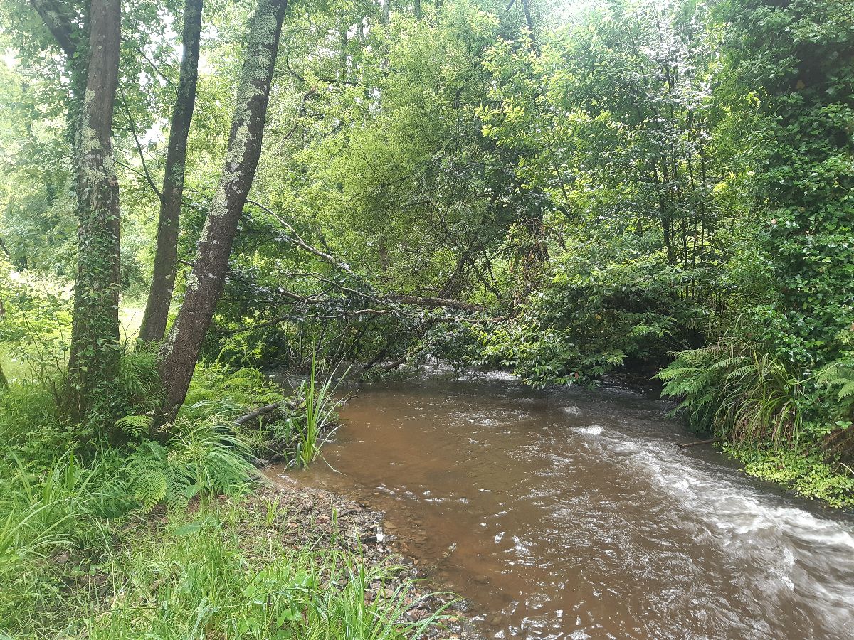 Imagen Antes de la actuación en el río Torto en As Rodrigas