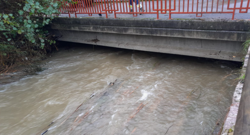 Imagen Después de la actuación en el río Turón en Peñule