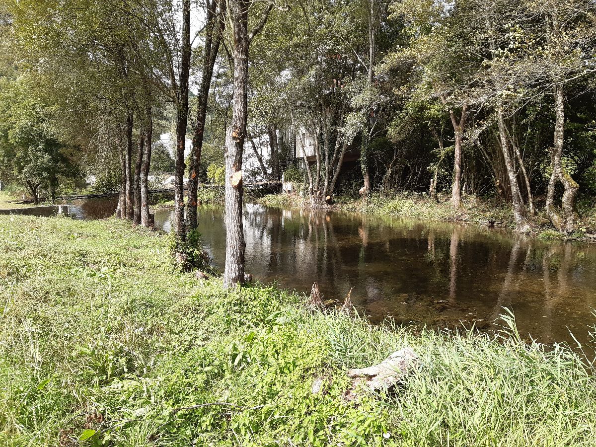 Imagen Después de la actuación en el río Navia en As Nogais