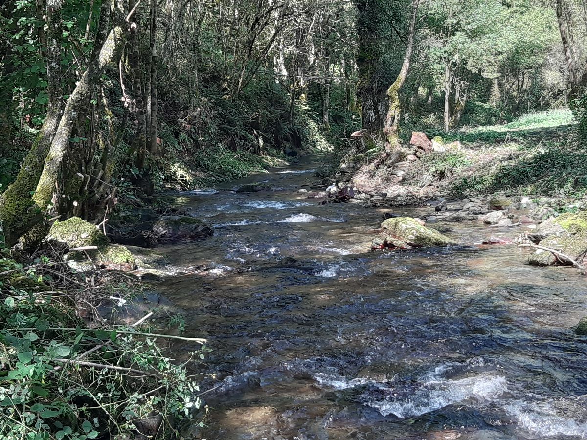 Vista del río Navia después de la actuación  en Doncos