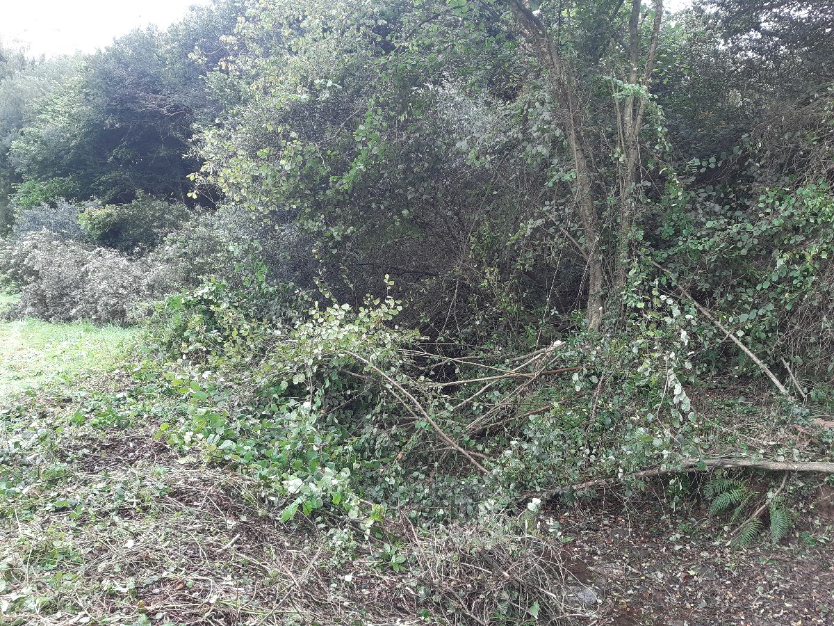 Imagen Antes de la actuación en el río Portobragán en Villamartín