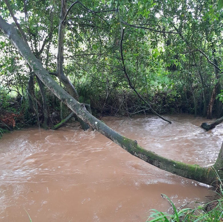 Imagen Antes de la actuación en el río Raíces en Peruyera