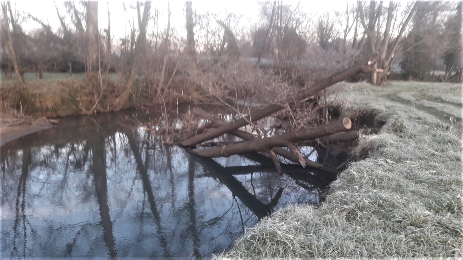 Imagen Antes de la actuación en el río Nora en Meres