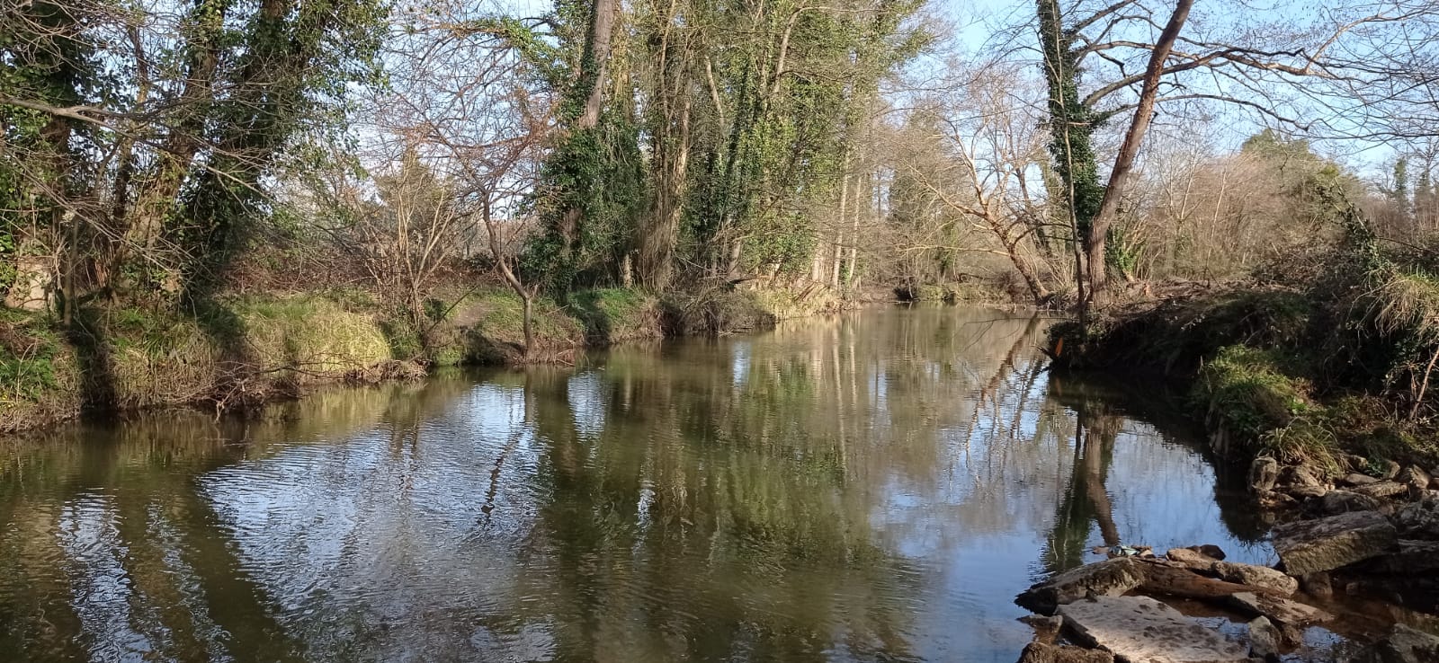 Imagen Después de la actuación en el río Nora en El Campo