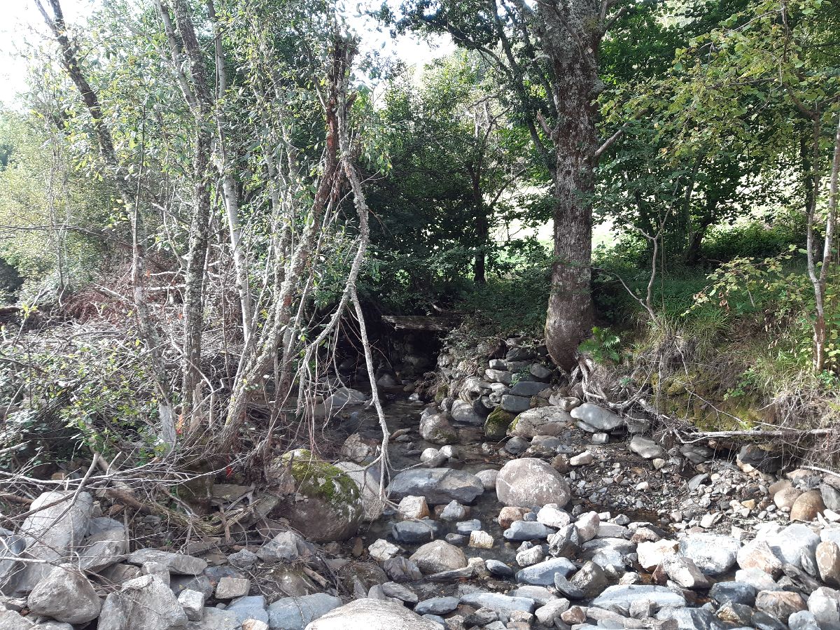 Imagen Antes de la actuación en el río Do Mazo en O Mazo