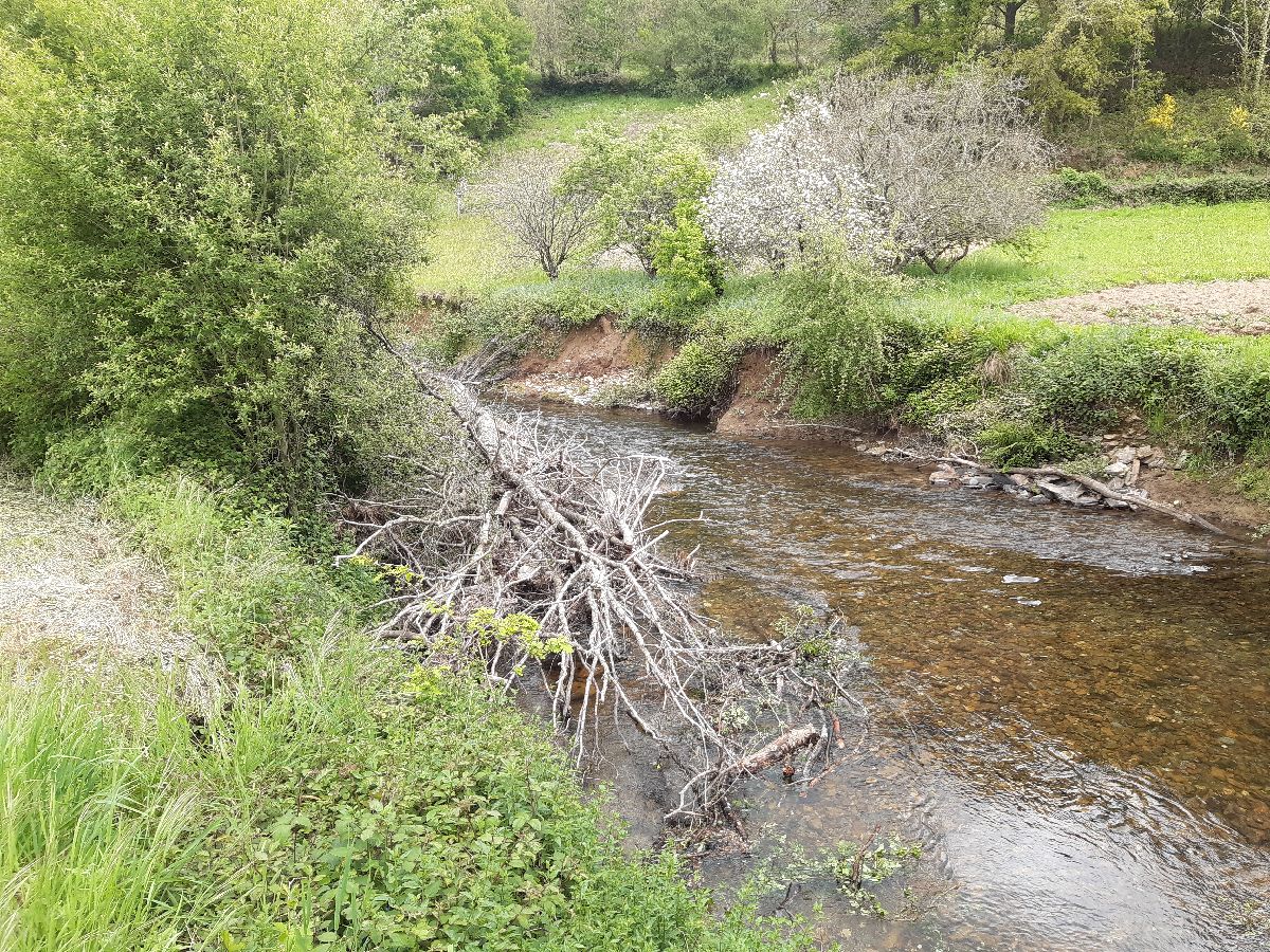 Imagen Antes de la actuación en el río Eo en Santalla