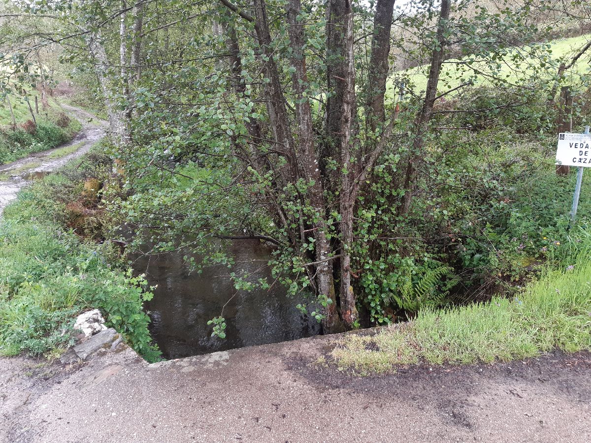 Imagen Antes de la actuación en el río Da Proba en San Pedro del Río