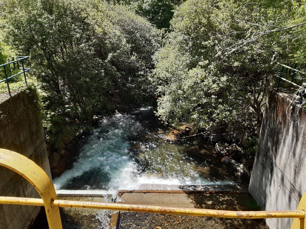 Imagen Antes de la actuación en el río Ser en Vallo