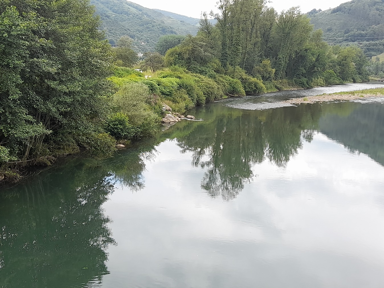 Imagen Antes de la actuación de bioingeniería en el río Nalón en Palomar