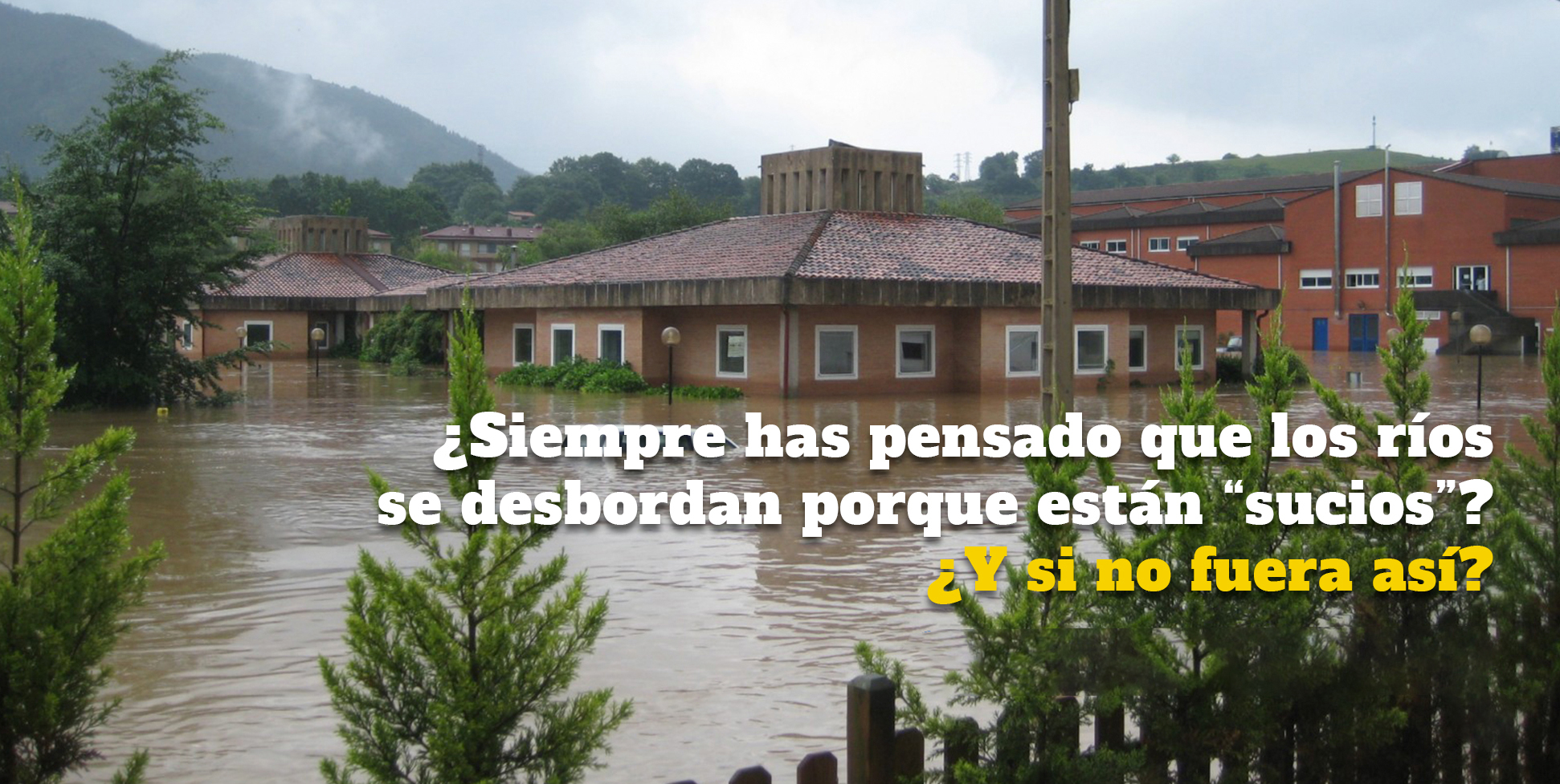 La vegetación no es suciedad-0