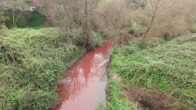 Río con continuidad tras la demolición del azud