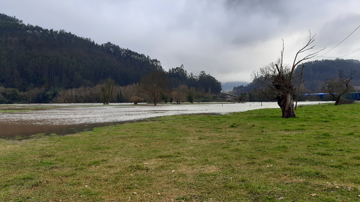 Llanura de inundación en estado natural