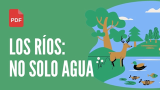 ¿Por qué debemos proteger los ríos?