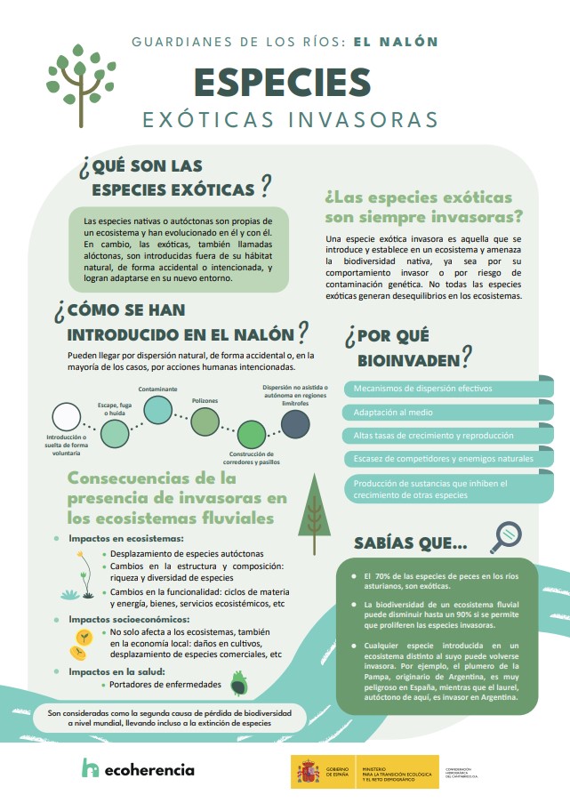 ecoherencia 2