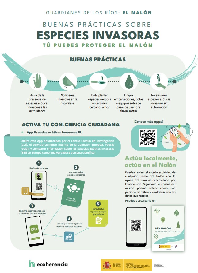 ecoherencia 3