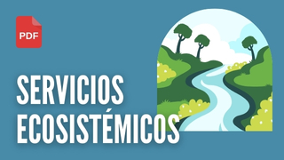 Servicios ecosistémicos