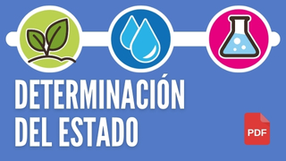 El ESTADO DE NUESTROS RIOS