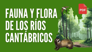 Fauna y flora