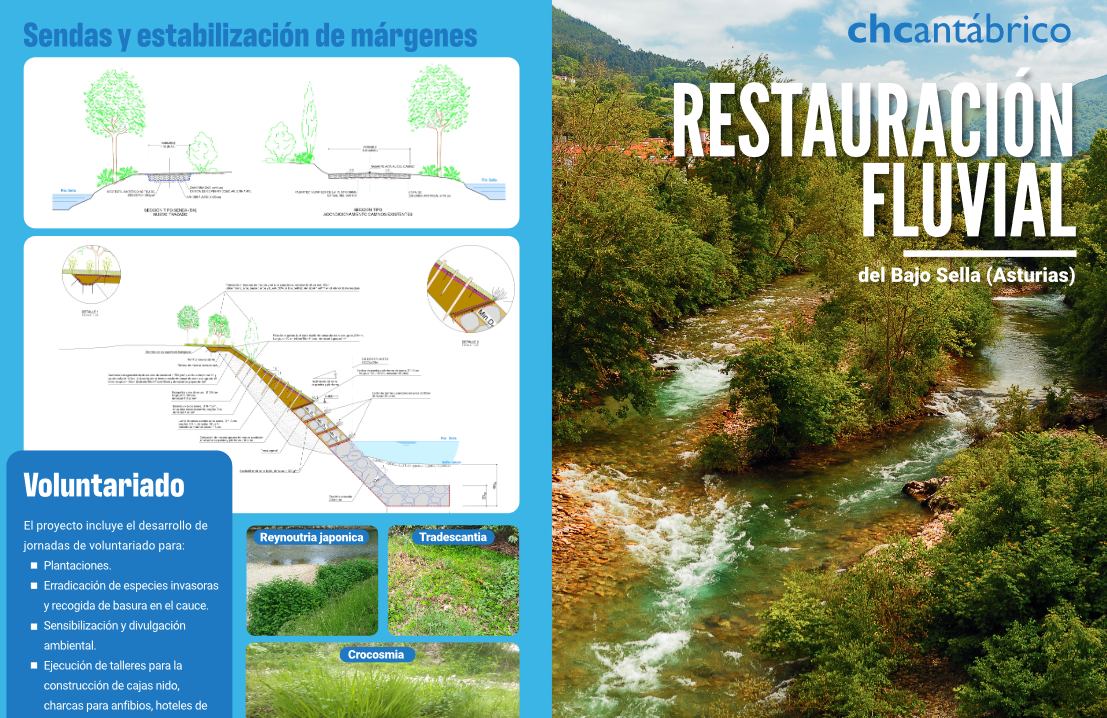 Restauración fluvial del Bajo Sella. TT.MM. de Cangas de Onís, Parres y