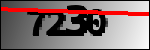 Identifikatzeko Testua